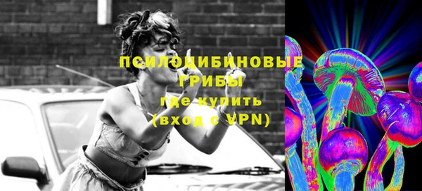 PSILOCYBIN Куйбышев