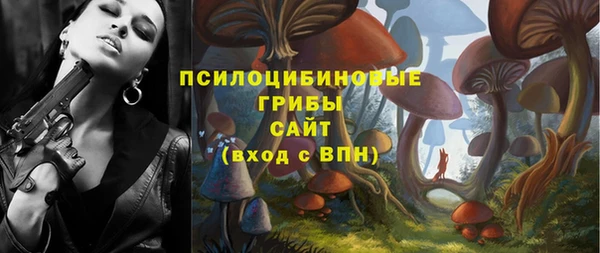 a pvp Долгопрудный