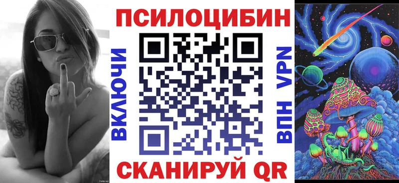 блэк спрут как зайти  Чайковский  Галлюциногенные грибы мицелий  наркотики 