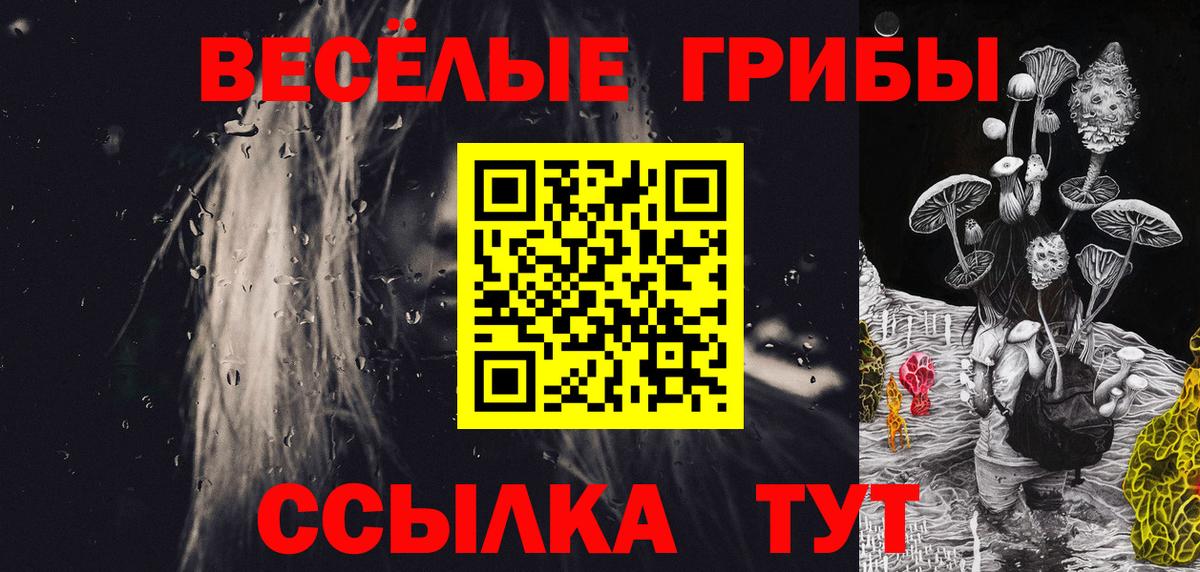 Галлюциногенные грибы GOLDEN TEACHER  Псилоцибиновые грибы Cubensis  Чайковский  Вход с VPN 