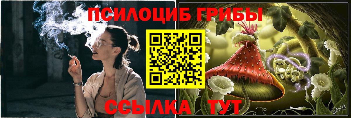  КОКАИН Чайковский