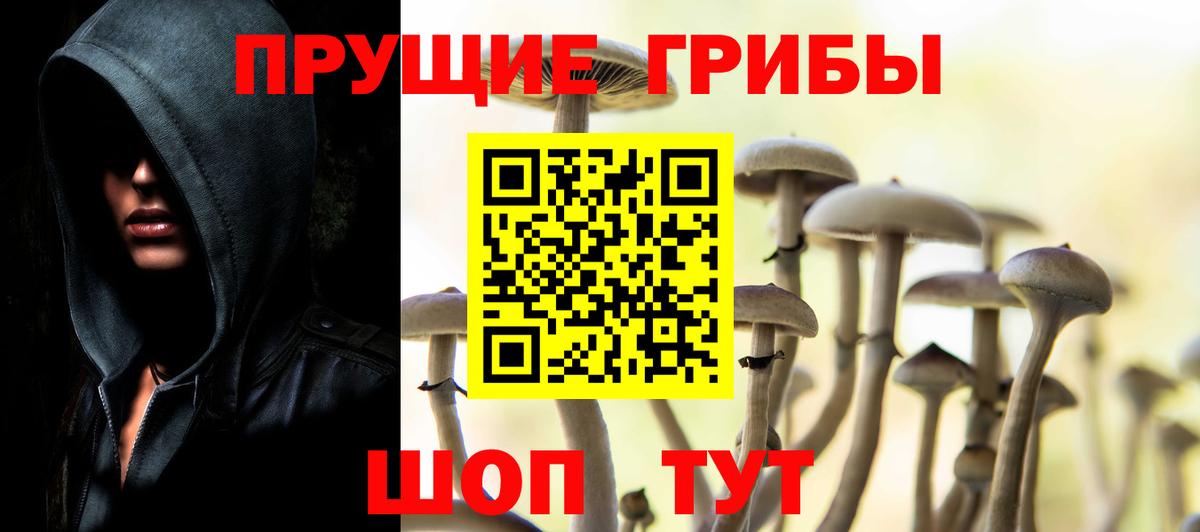 Псилоцибиновые грибы MAGIC MUSHROOMS Чайковский